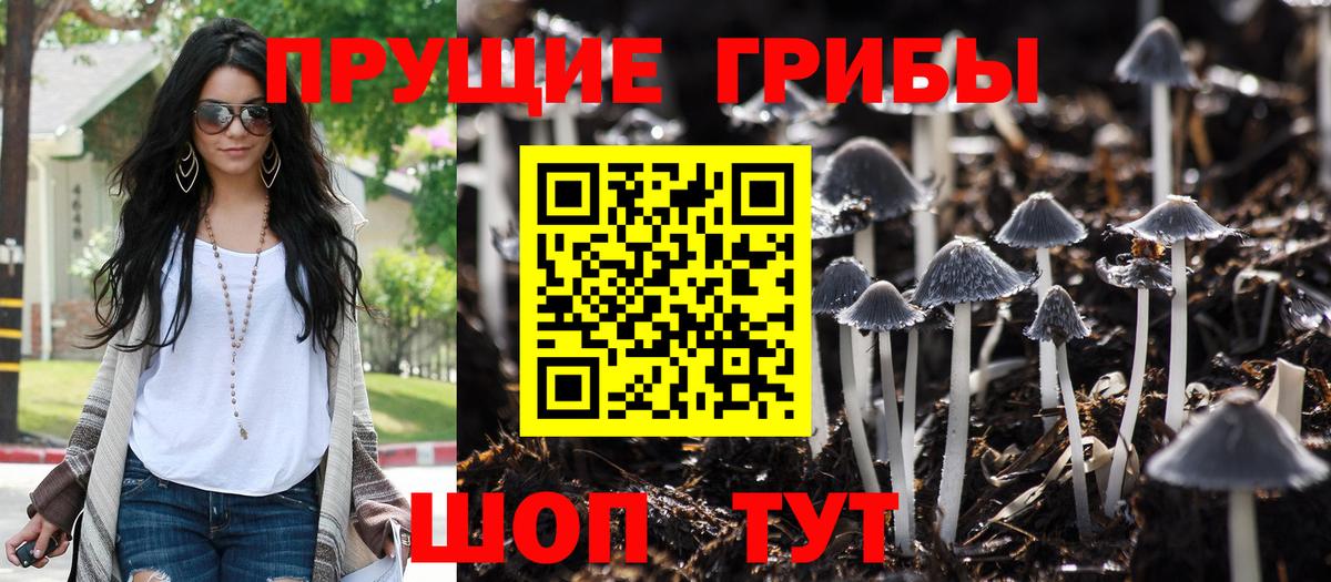 Псилоцибиновые грибы прущие грибы  Вход с VPN  наркотики  Реж 
